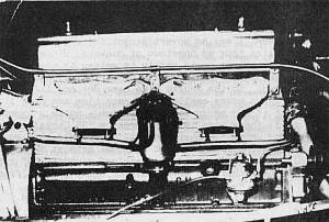 toros4.jpg (16885 bytes)
