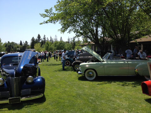 NorCal Picnic 2012