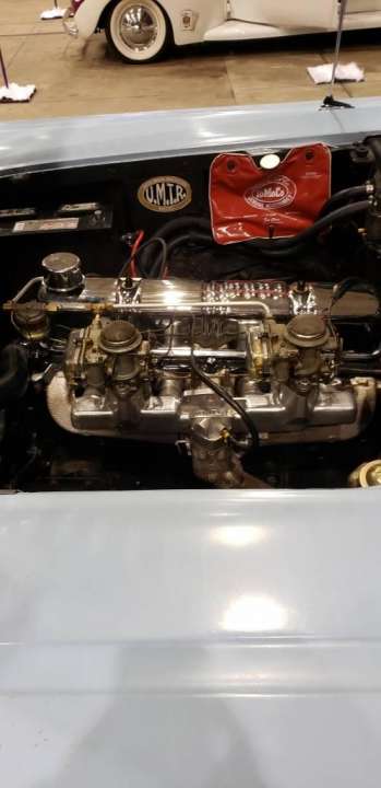 20220403_114214.jpg
