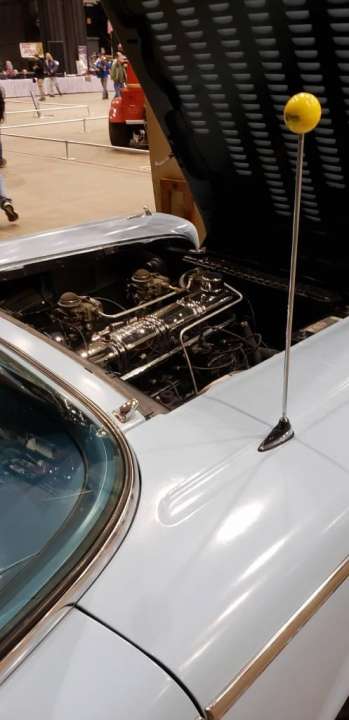 20220403_114149.jpg